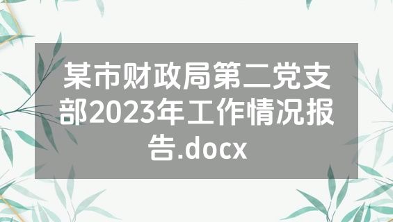 某市财政局第二党支部2023年工作情况报告.docx