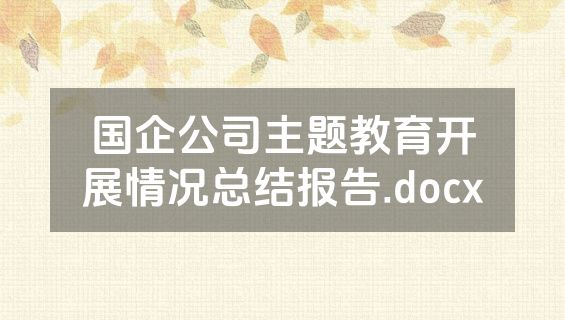国企公司主题教育开展情况总结报告.docx