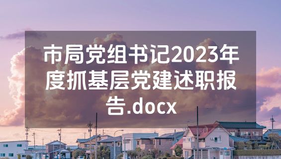 市局党组书记2023年度抓基层党建述职报告.docx