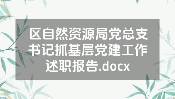 区自然资源局党总支书记抓基层党建工作述职报告.docx