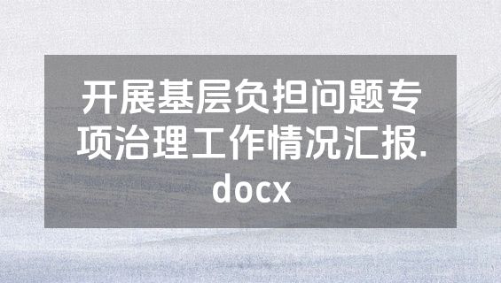 开展基层负担问题专项治理工作情况汇报.docx