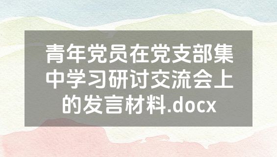 青年党员在党支部集中学习研讨交流会上的发言材料.docx