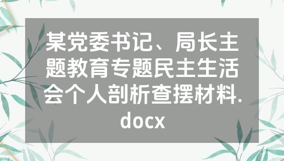 某党委书记、局长主题教育专题民主生活会个人剖析查摆材料.docx