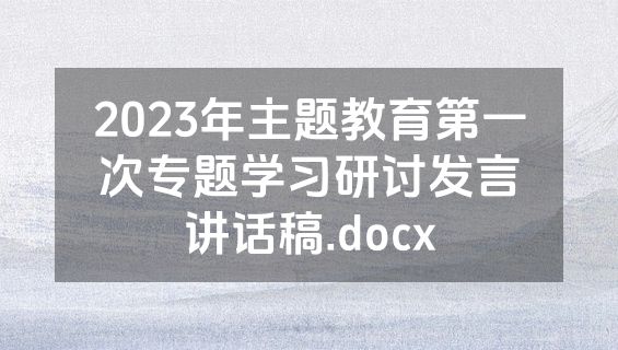 2023年主题教育第一次专题学习研讨发言讲话稿.docx