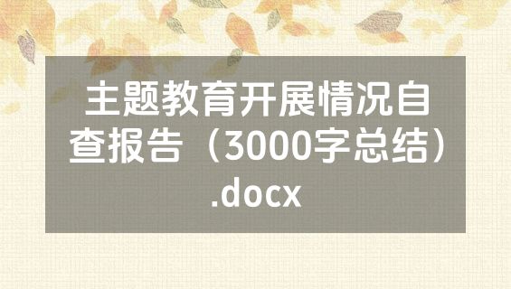 主题教育开展情况自查报告（3000字总结）.docx