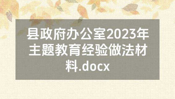 县政府办公室2023年主题教育经验做法材料.docx