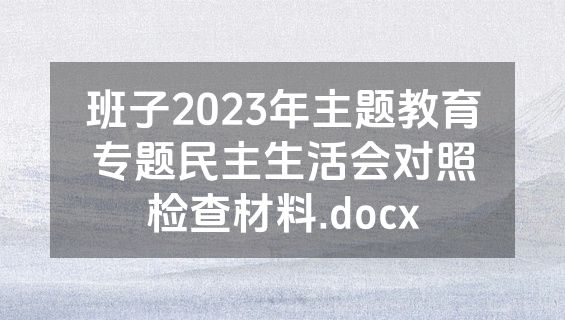 班子2023年主题教育专题民主生活会对照检查材料.docx