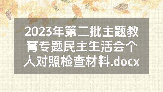 2023年第二批主题教育专题民主生活会个人对照检查材料.docx