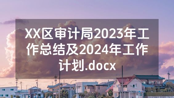 XX区审计局2023年工作总结及2024年工作计划.docx