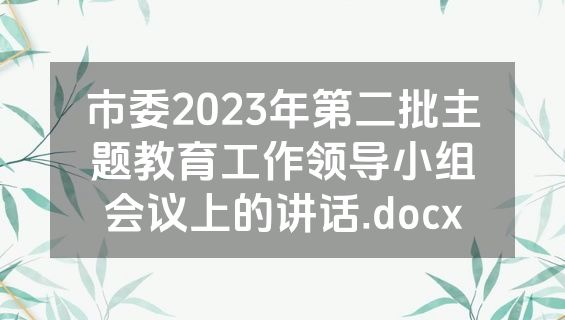 市委2023年第二批主题教育工作领导小组会议上的讲话.docx