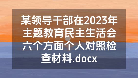 某领导干部在2023年主题教育民主生活会六个方面个人对照检查材料.docx