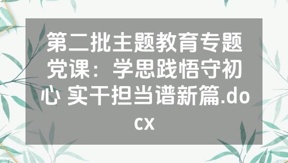 第二批主题教育专题党课：学思践悟守初心 实干担当谱新篇.docx