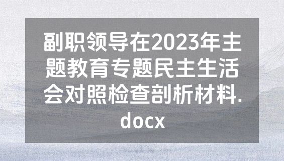 副职领导在2023年主题教育专题民主生活会对照检查剖析材料.docx