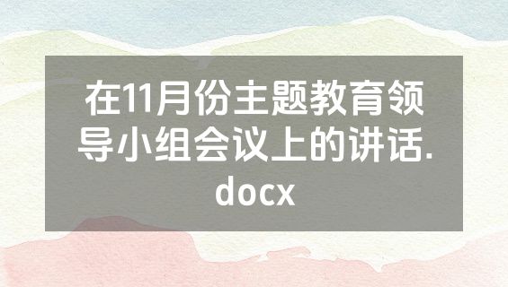 在11月份主题教育领导小组会议上的讲话.docx