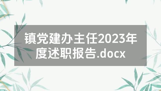 镇党建办主任2023年度述职报告.docx