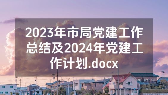 2023年市局党建工作总结及2024年党建工作计划.docx