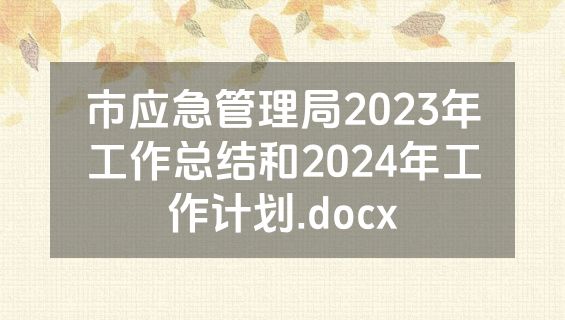 市应急管理局2023年工作总结和2024年工作计划.docx