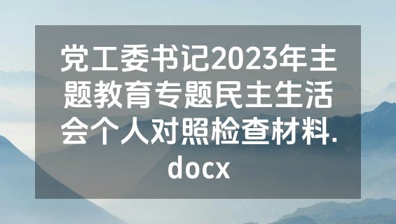 党工委书记2023年主题教育专题民主生活会个人对照检查材料.docx