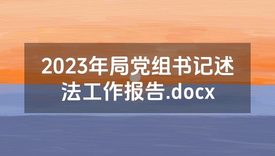 2023年局党组书记述法工作报告.docx