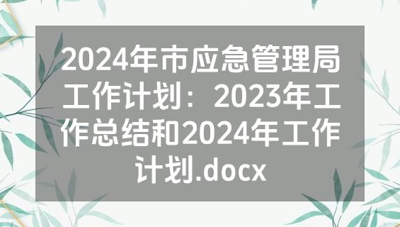 2024年市应急管理局工作计划：2023年工作总结和2024年工作计划.docx