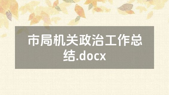市局机关政治工作总结.docx