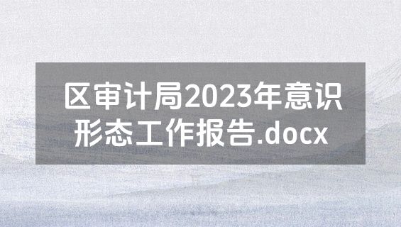区审计局2023年意识形态工作报告.docx