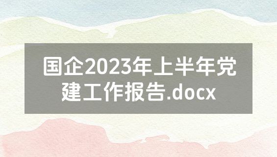 国企2023年上半年党建工作报告.docx