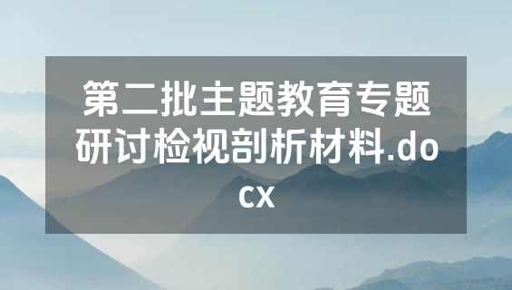 第二批主题教育专题研讨检视剖析材料.docx