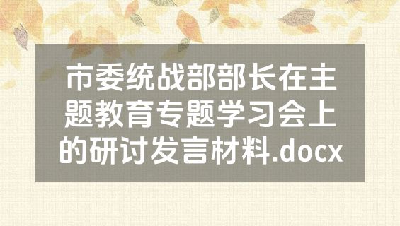 市委统战部部长在主题教育专题学习会上的研讨发言材料.docx