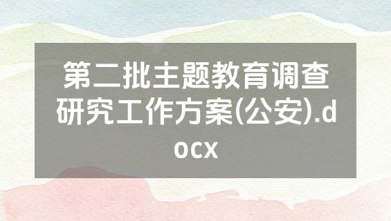 第二批主题教育调查研究工作方案(公安).docx