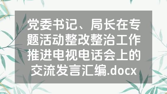 党委书记、局长在专题活动整改整治工作推进电视电话会上的交流发言汇编.docx