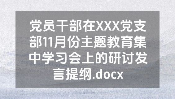 党员干部在XXX党支部11月份主题教育集中学习会上的研讨发言提纲.docx