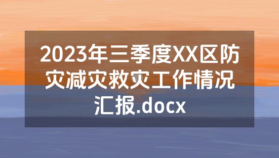 2023年三季度XX区防灾减灾救灾工作情况汇报.docx