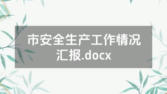 市安全生产工作情况汇报.docx