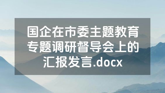 国企在市委主题教育专题调研督导会上的汇报发言.docx