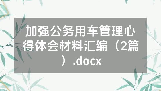 加强公务用车管理心得体会材料汇编（2篇）.docx