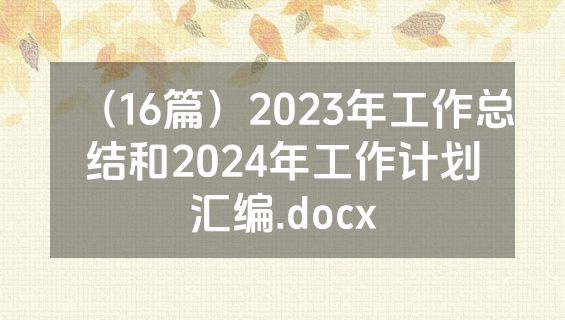 （16篇）2023年工作总结和2024年工作计划汇编.docx