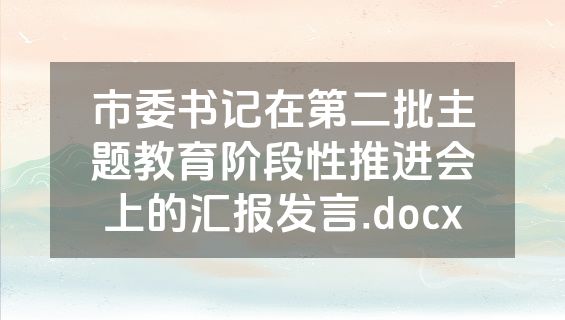 市委书记在第二批主题教育阶段性推进会上的汇报发言.docx