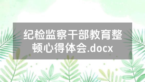 纪检监察干部教育整顿心得体会.docx