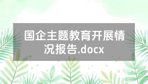 国企主题教育开展情况报告.docx