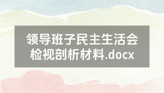 领导班子民主生活会检视剖析材料.docx