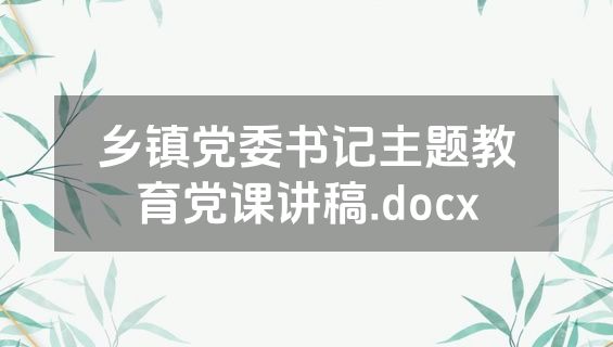 乡镇党委书记主题教育党课讲稿.docx