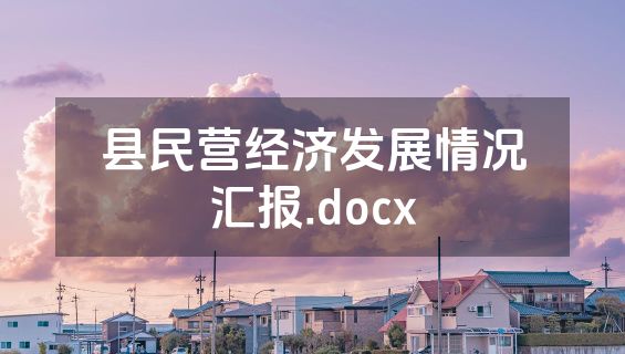 县民营经济发展情况汇报.docx