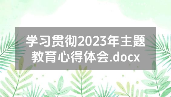 学习贯彻2023年主题教育心得体会.docx