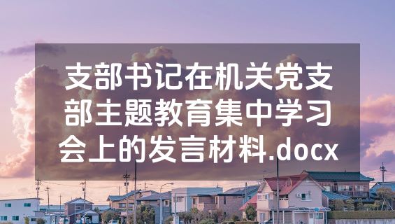 支部书记在机关党支部主题教育集中学习会上的发言材料.docx