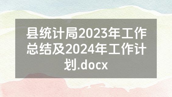 县统计局2023年工作总结及2024年工作计划.docx