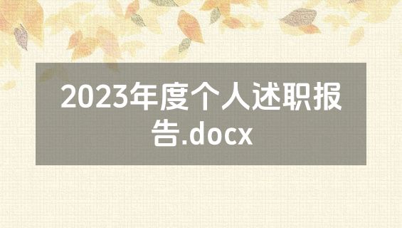 2023年度个人述职报告.docx