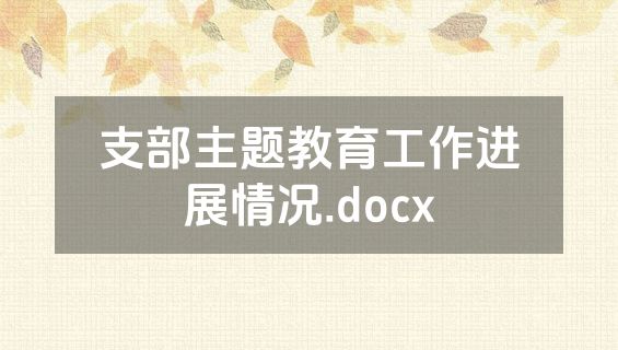 支部主题教育工作进展情况.docx