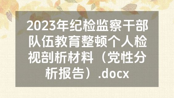 2023年纪检监察干部队伍教育整顿个人检视剖析材料（党性分析报告）.docx