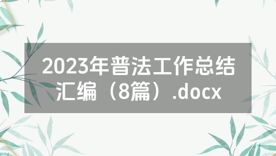 2023年普法工作总结汇编（8篇）.docx